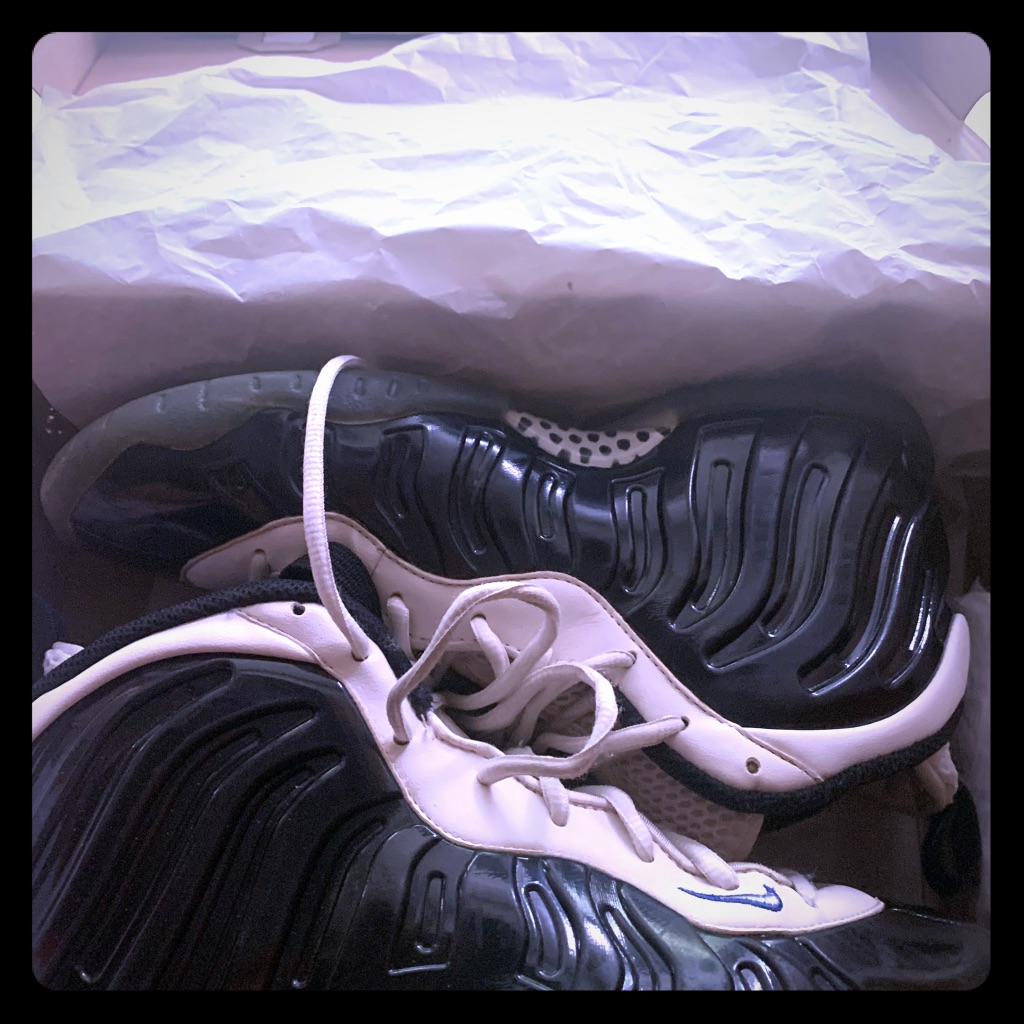 Foamposite Concord